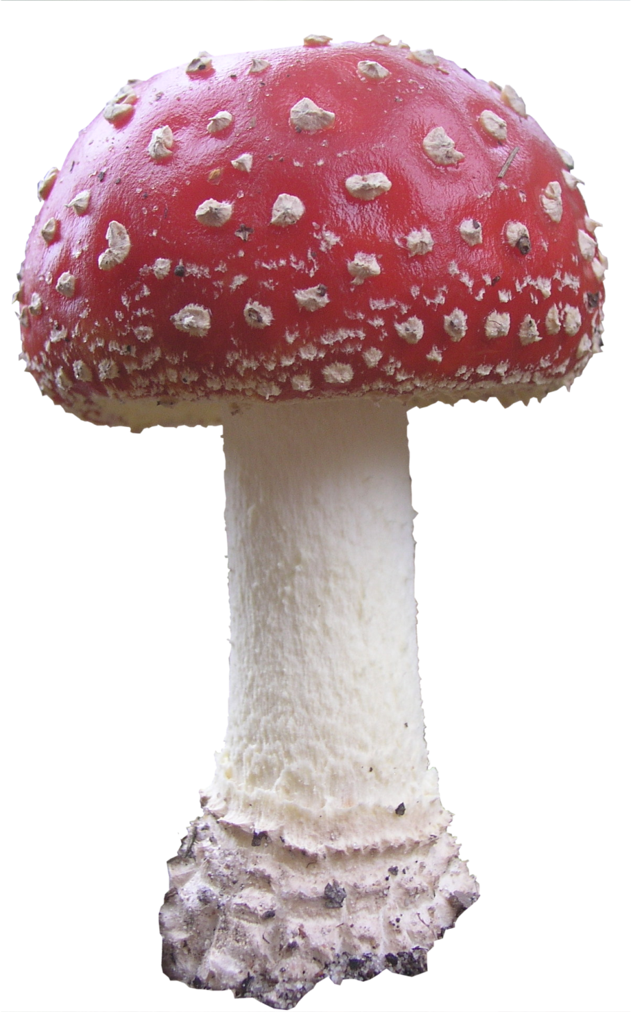 Мухомор с юбочкой