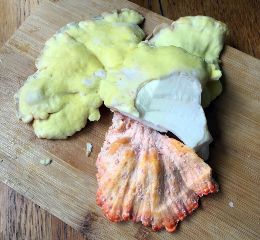 Ложные грибы Петушки