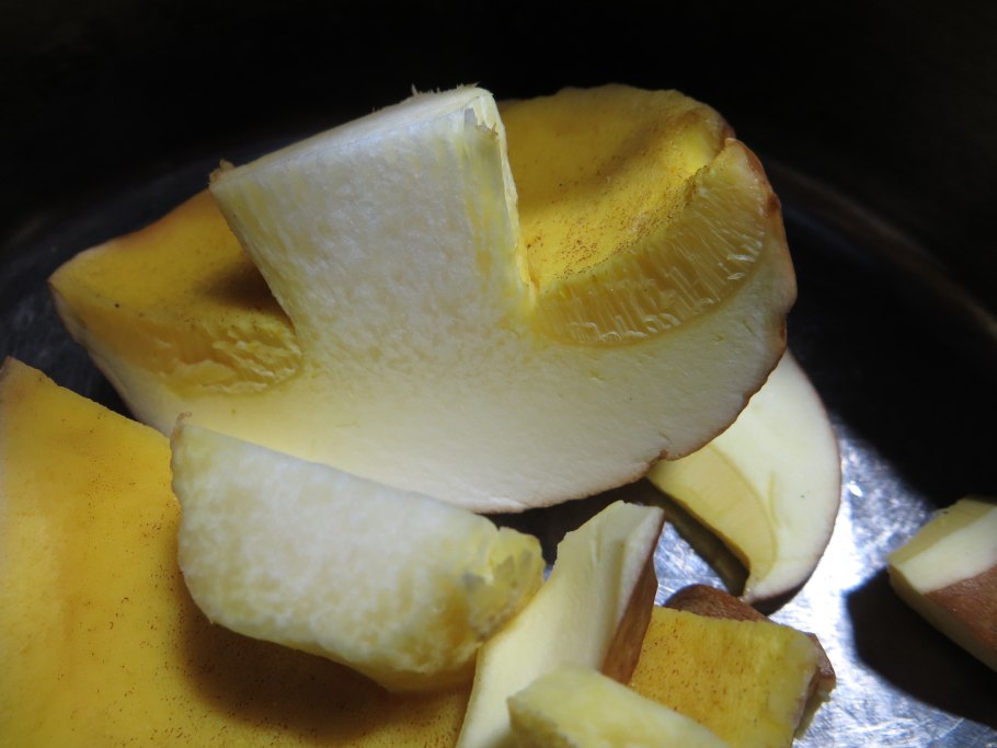 Белый гриб и подберезовик