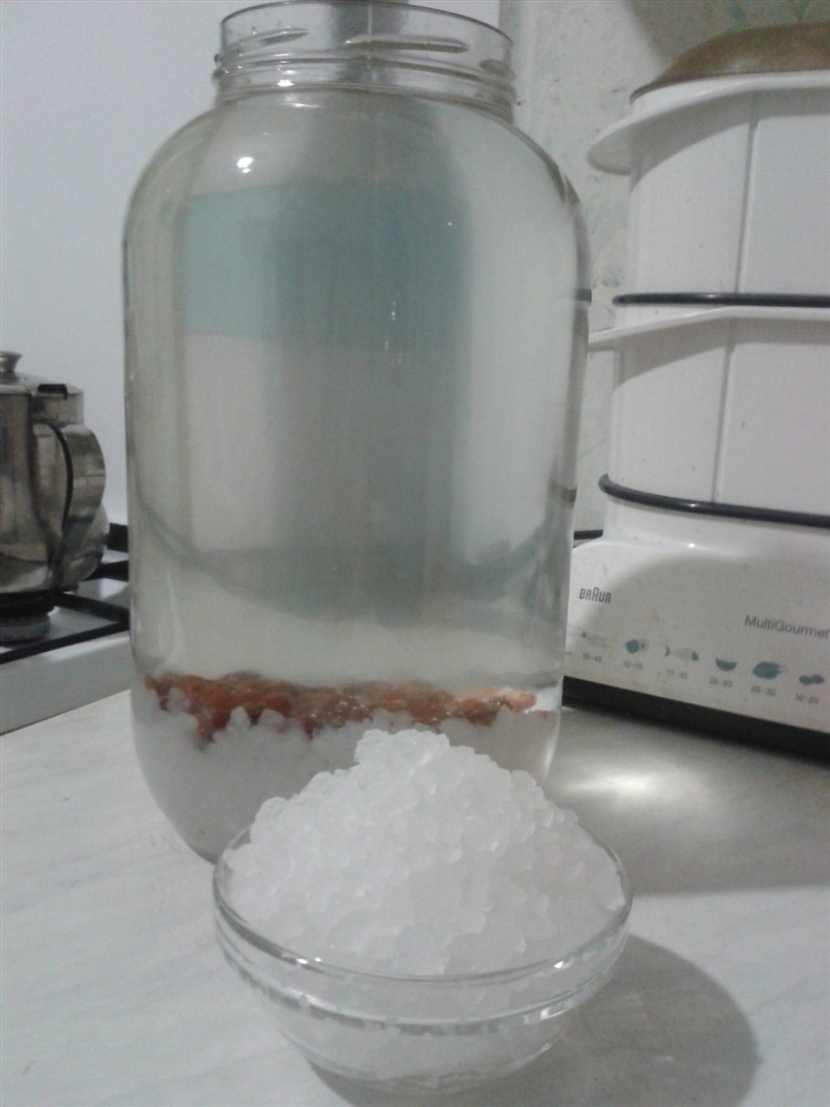 Индийский рисовый гриб