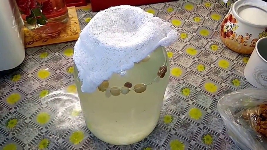 Индийский рисовый гриб