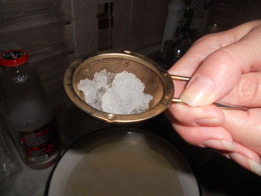 Чайный гриб молочный гриб рисовый гриб