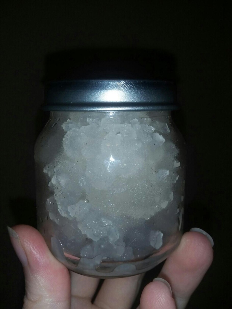 Чайный рисовый гриб