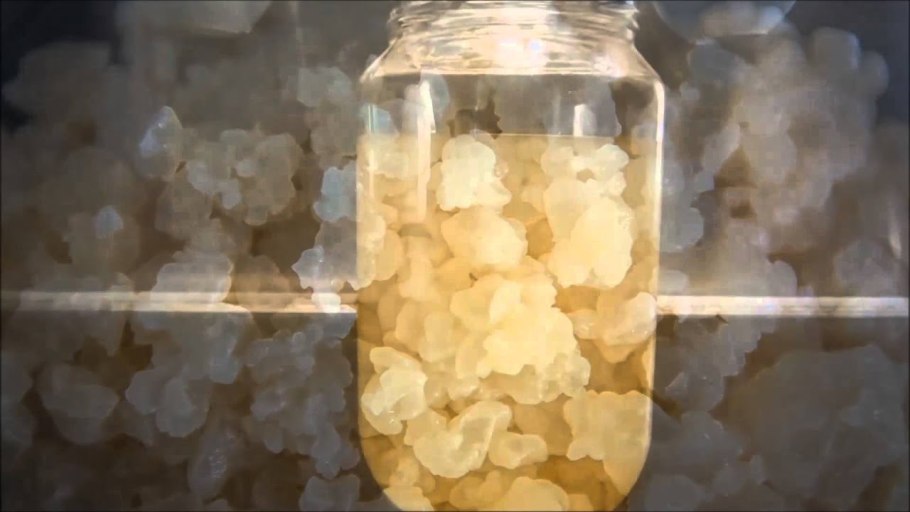 Квасной рисовый гриб