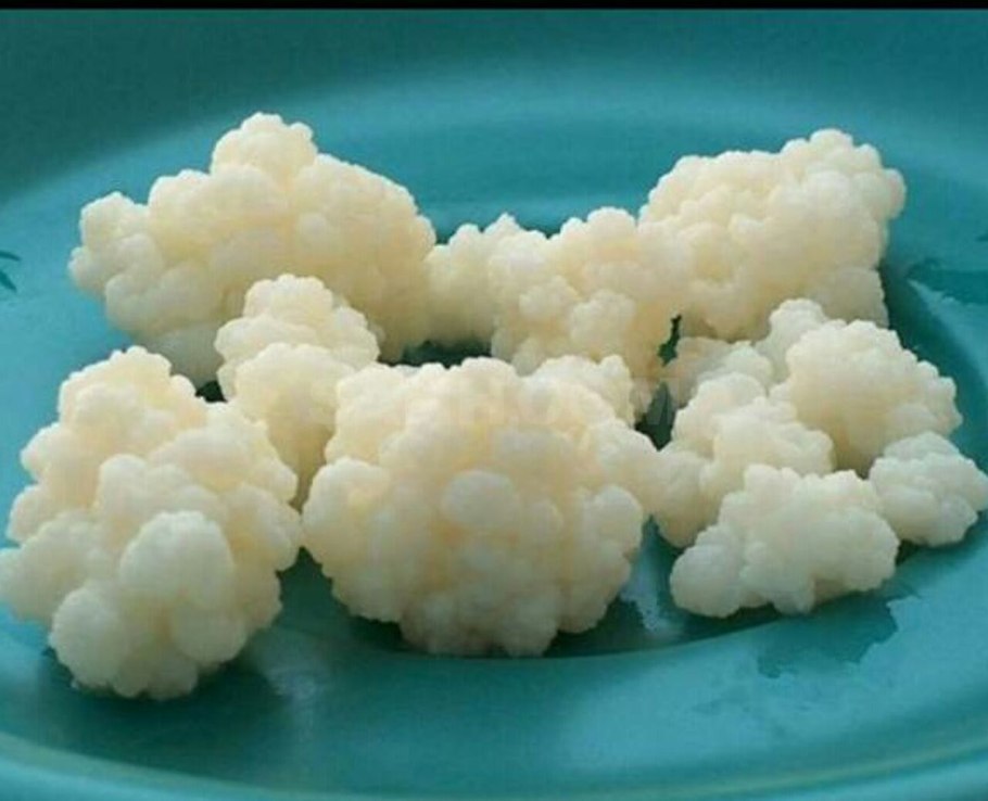 Палла Чоту грибы индийские