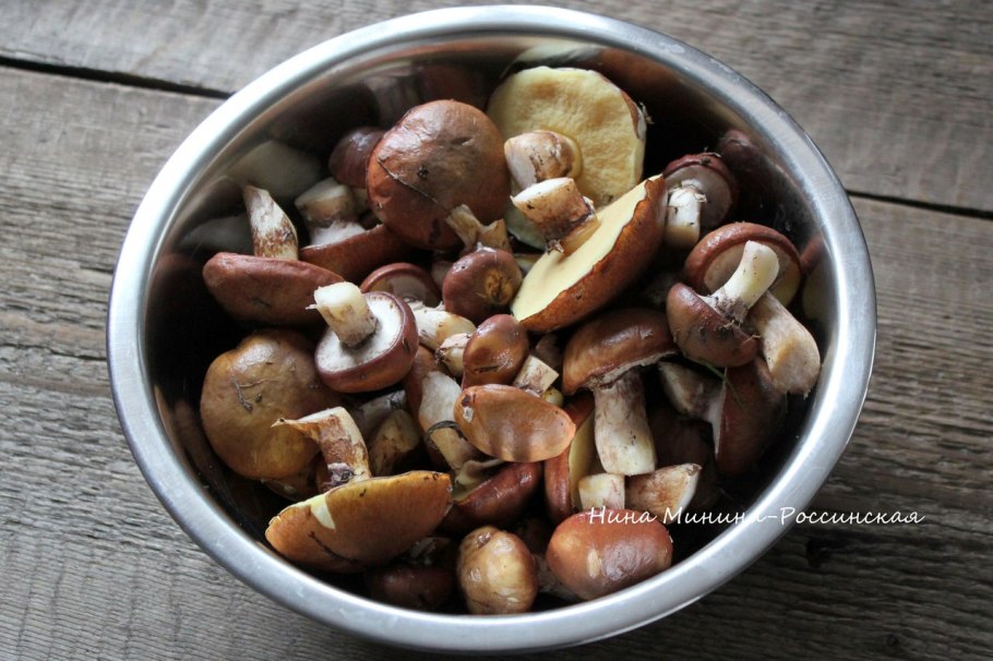 Маслёнок Клинтона (Suillus clintonianus)