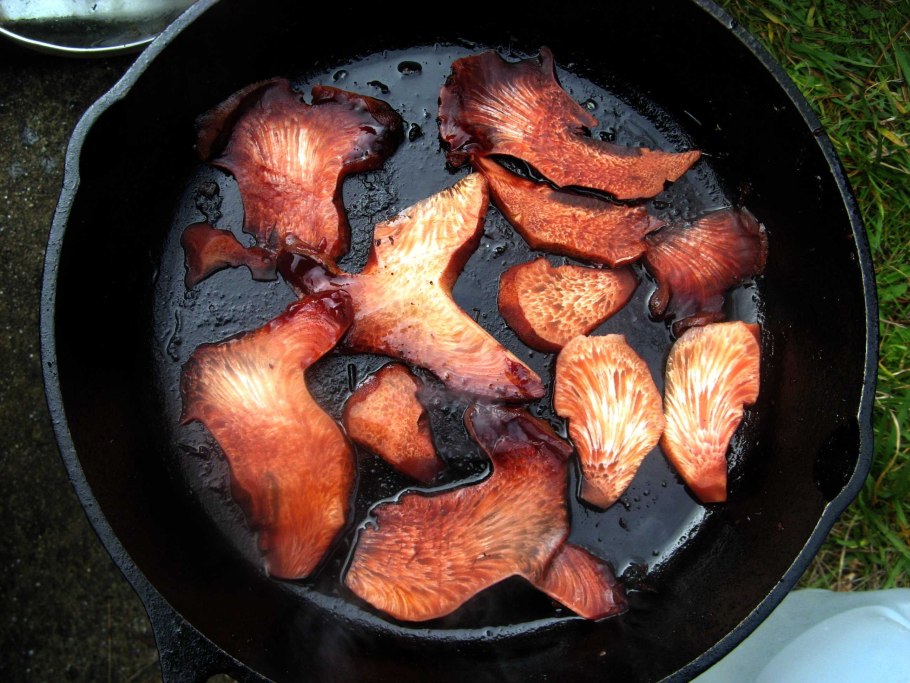 Печёночница обыкновенная гриб