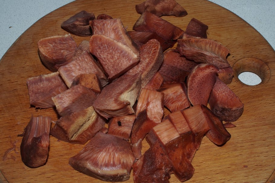 Трутовик щетинистоволосый