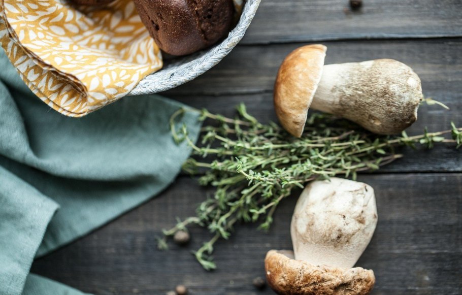 Подосиновик красный