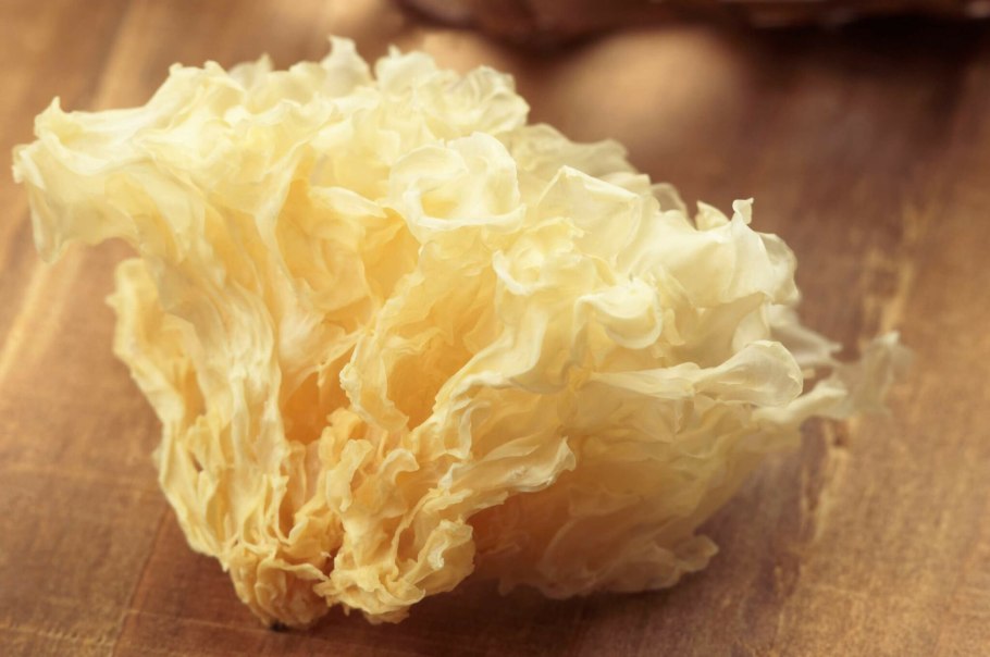 Снежные волосы грибы