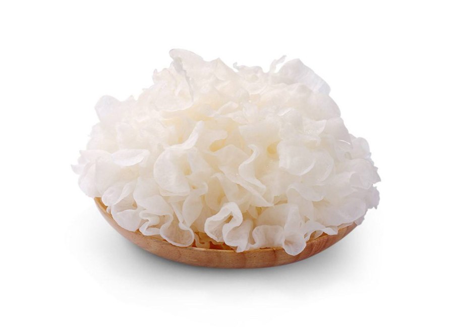 Коралловый гриб шиитаке