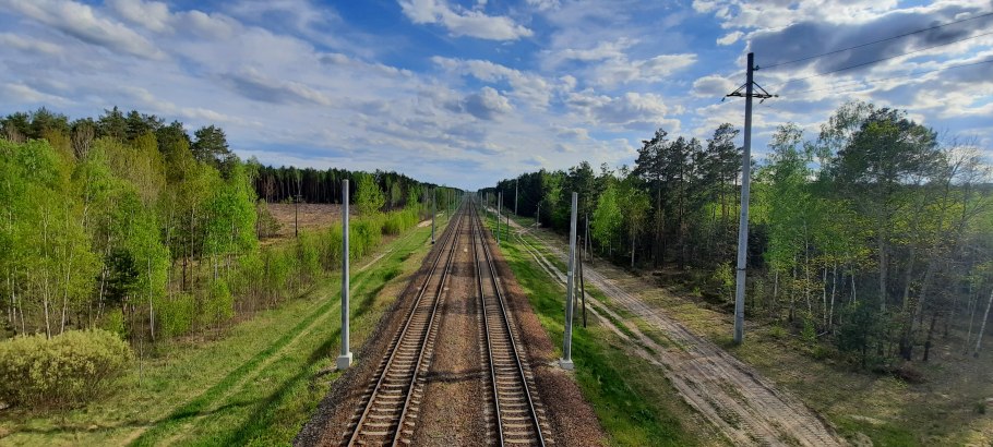 Грибник потерялся