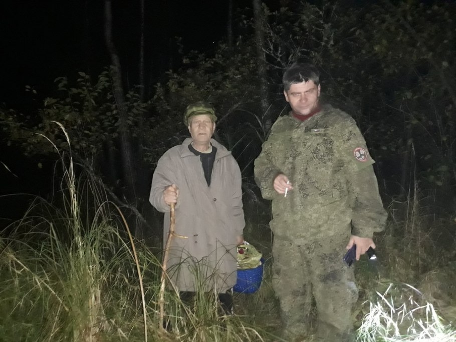 Грибы в Подмосковье сейчас