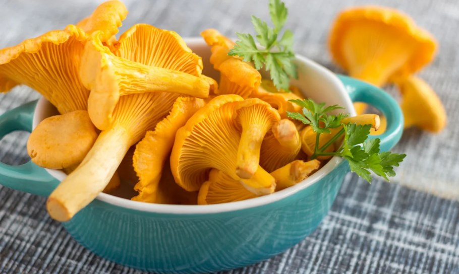 Грибы лисички на рынке