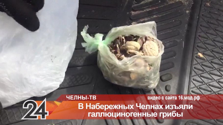 Забалуйки грибы