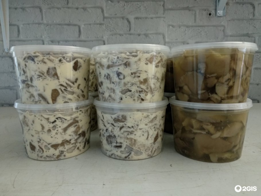 Гриб пластинчатый бежевый