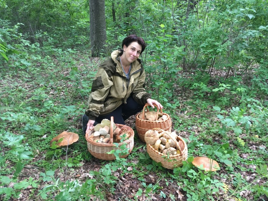 Много грибов