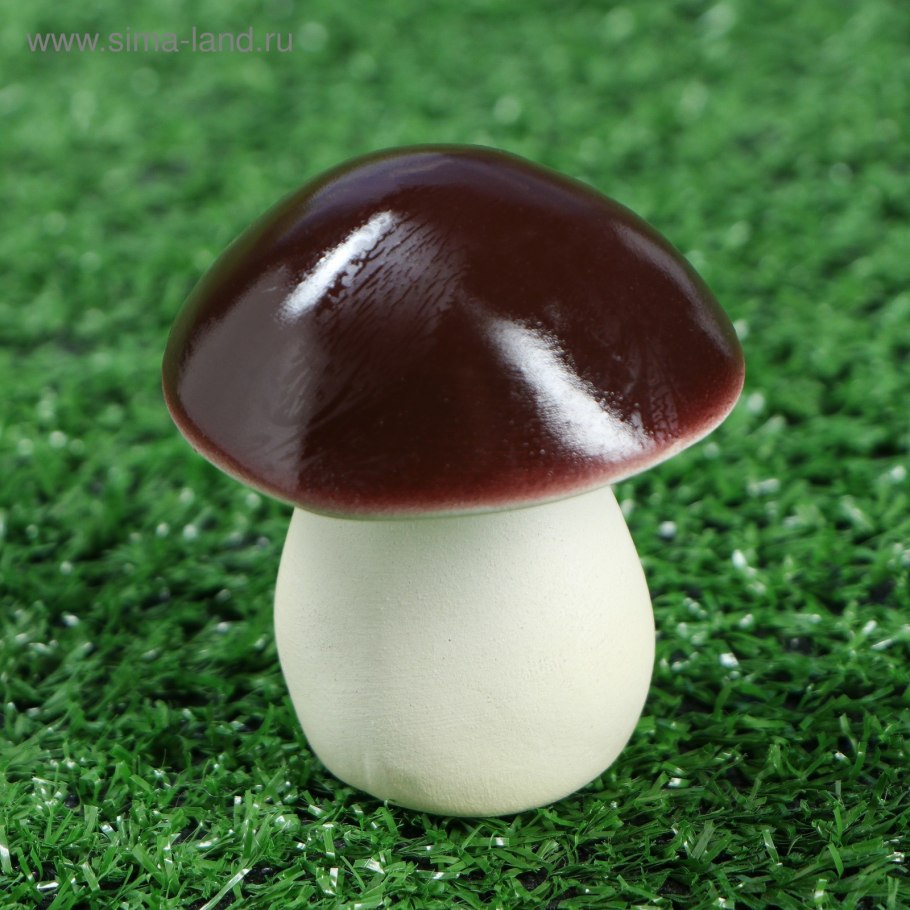 Маленький грибочек