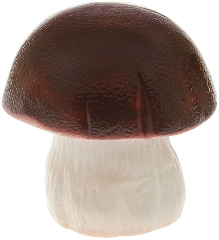 Грибы Ленинградской области в контакте