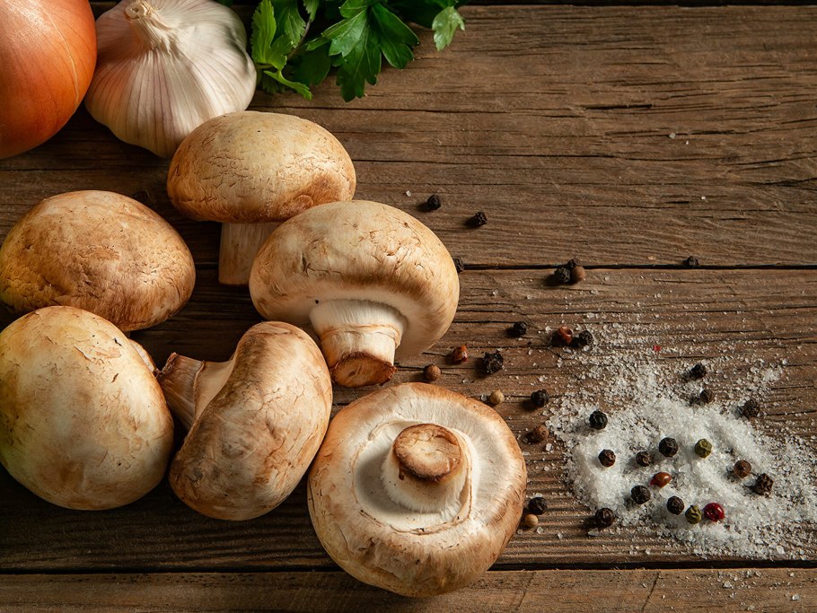 Шампиньоны Лесные ложные