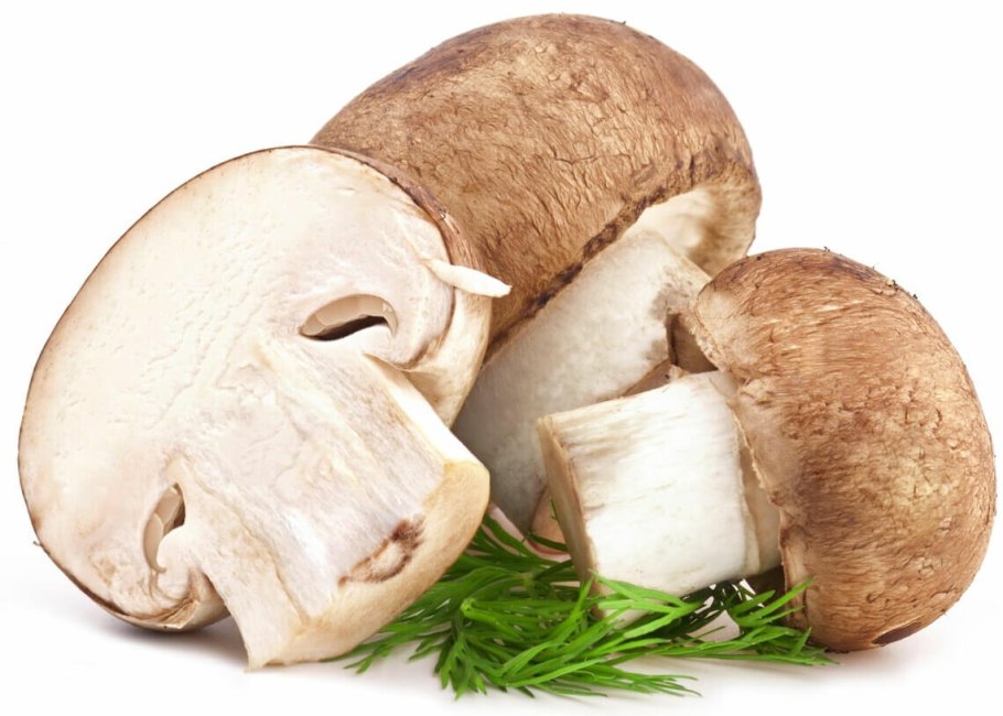 Шампиньоны на белом фоне