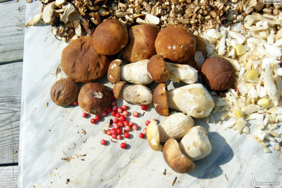 Морской белый гриб