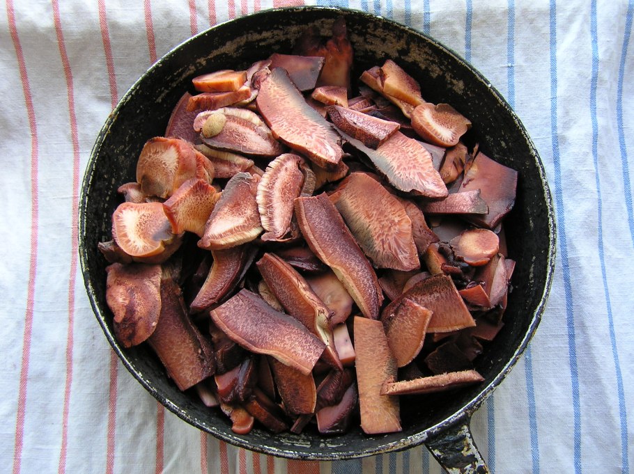 Печеночница обыкновенная – Fistulina hepatica (Schaeff.) Fr.