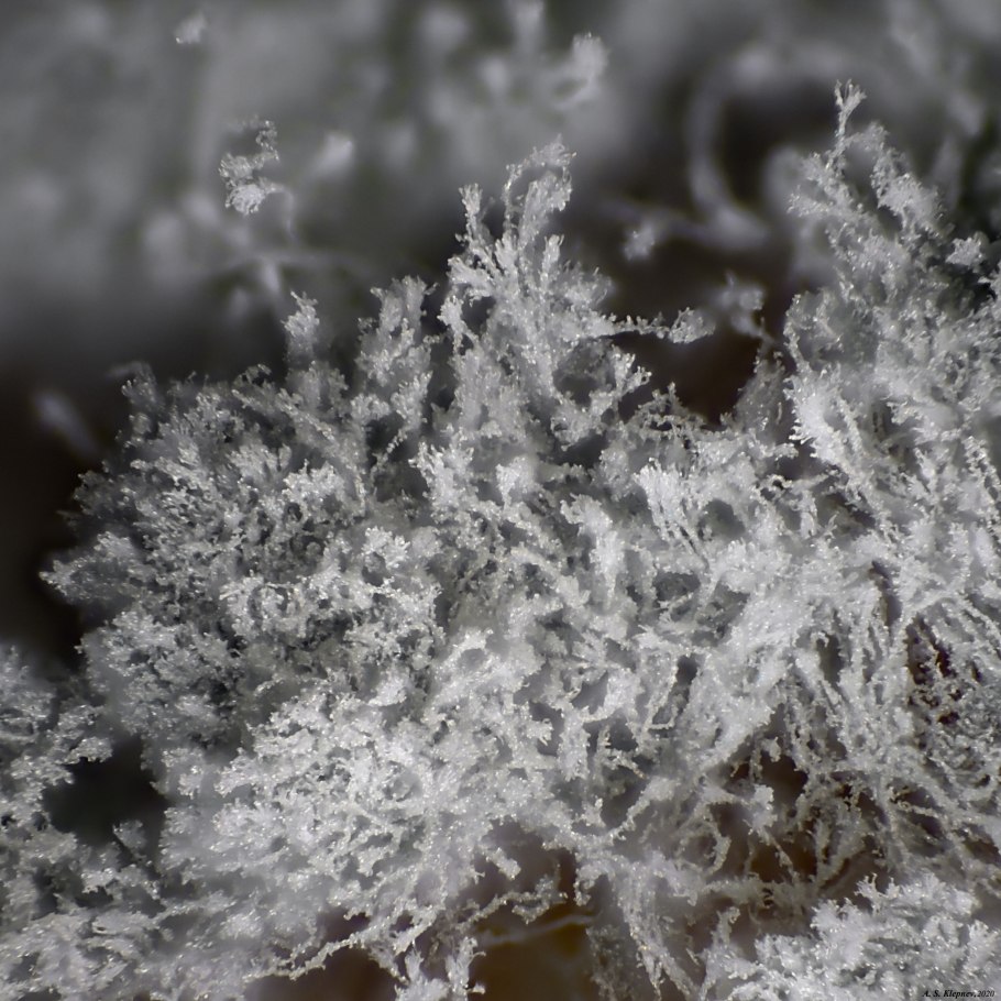 Перлит плесень