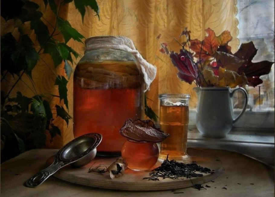 Комбуча (чайный гриб) СССР