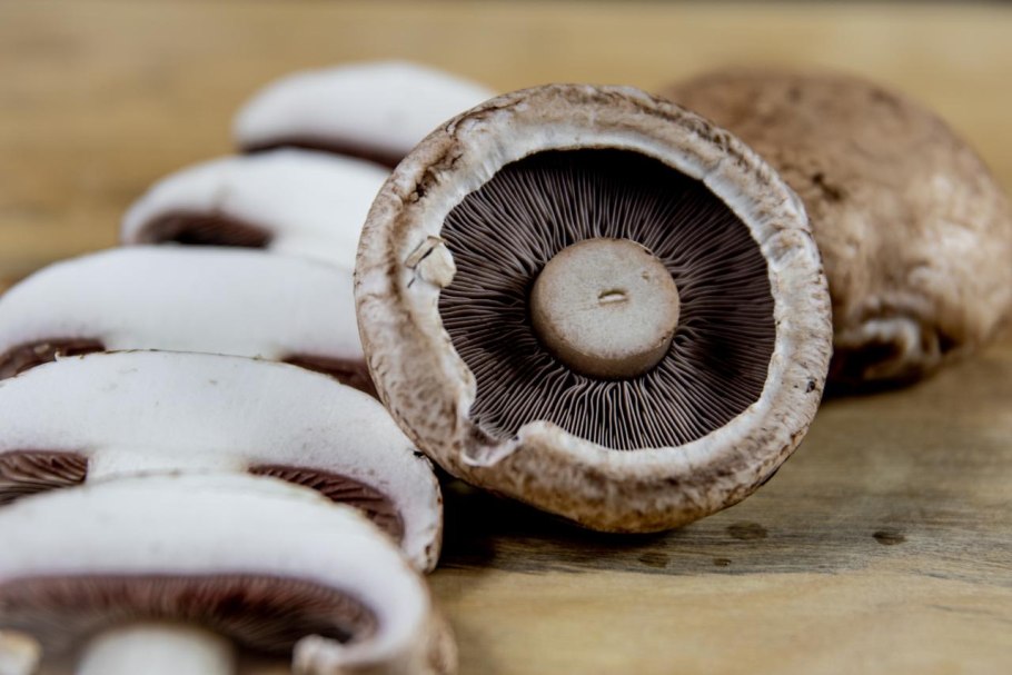 Черный гриб