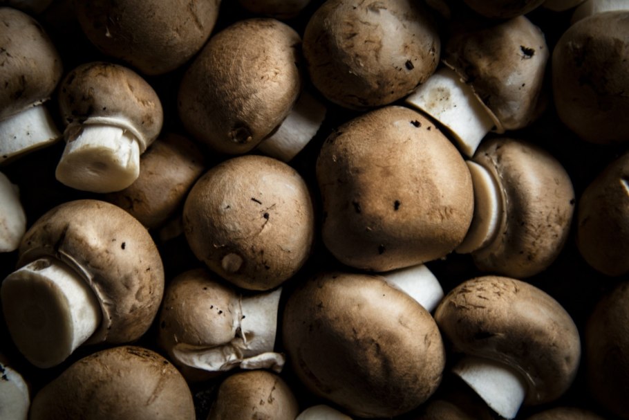 Черные шампиньоны