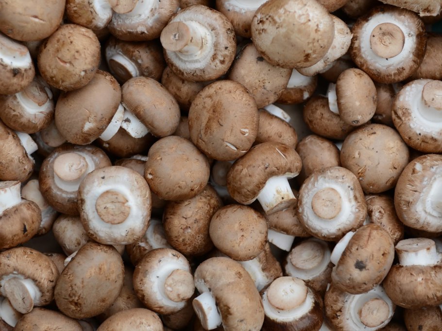 Шампиньон коричневый (60 мл.)