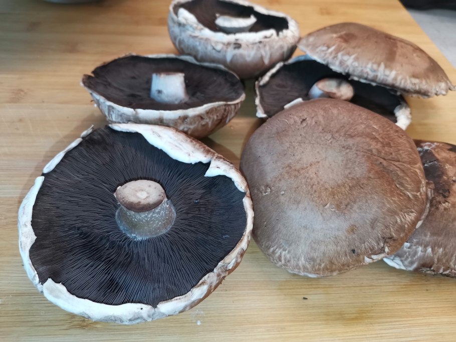 Черные шампиньоны