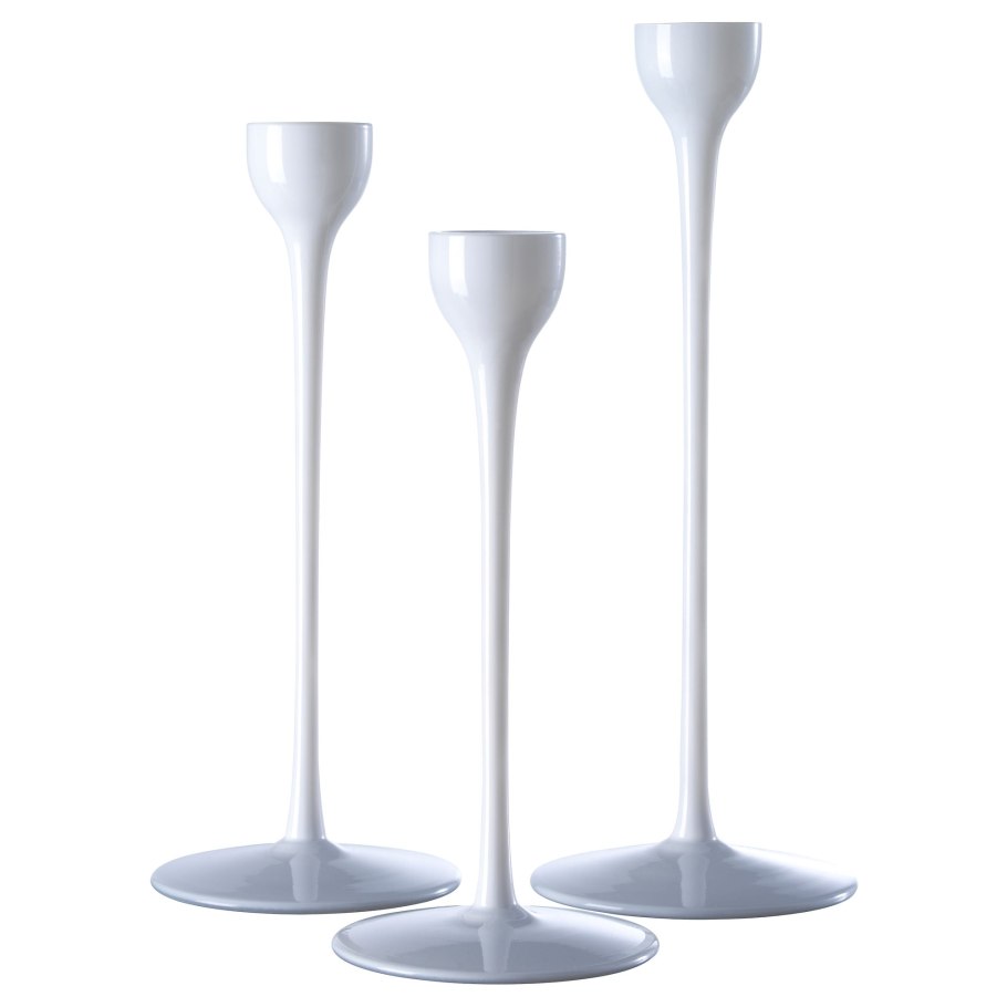 Сухие цветы на прозрачном фоне