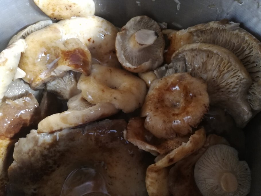 Бланширование груздей