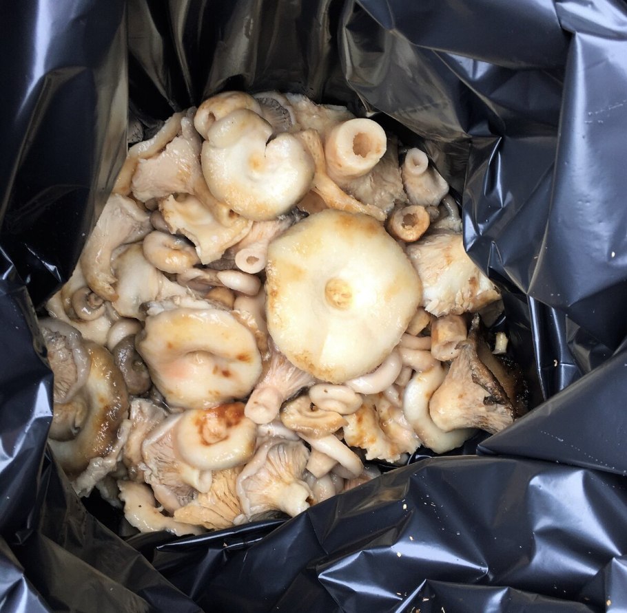 Грузди китайские