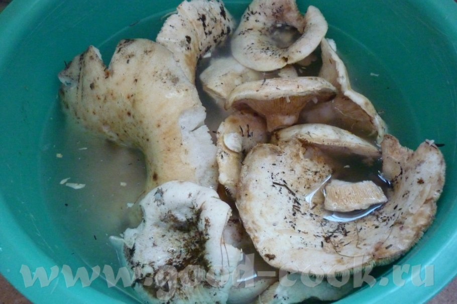 Варка груздей