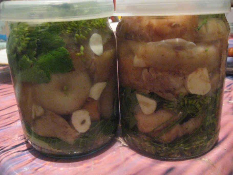 Грибы волнушки засолка