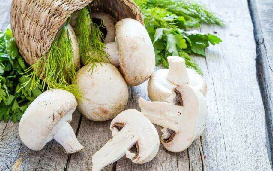 Шампиньоны свежие