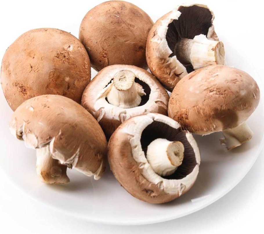 Шампиньоны свежие