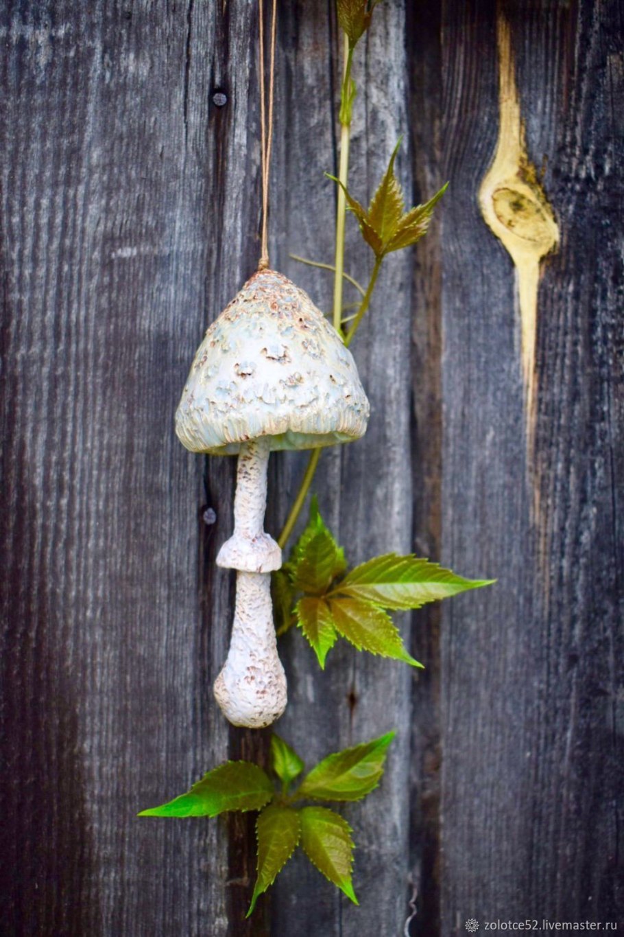 Поганка зонтик