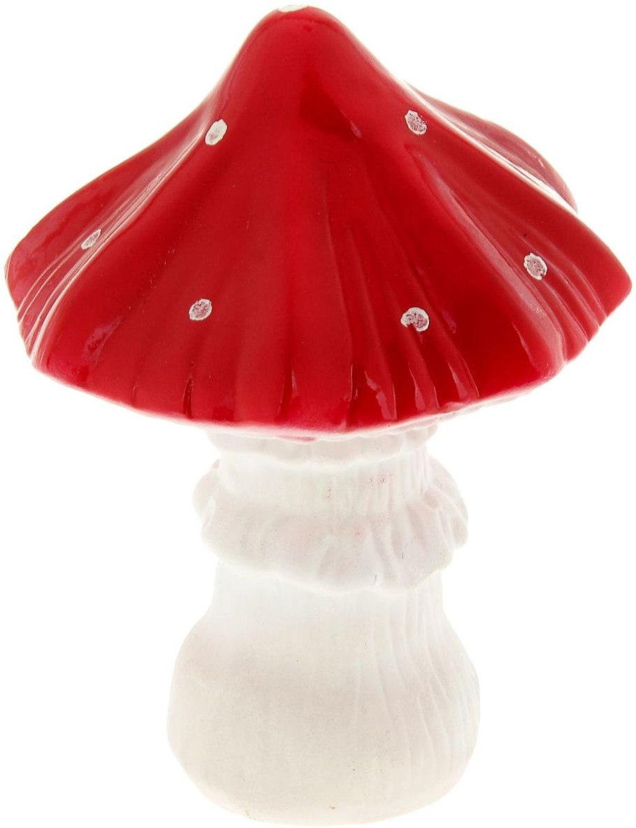 Гриб зонтик нераскрывшийся