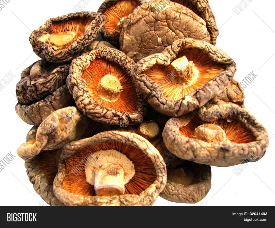 Сухие грибы