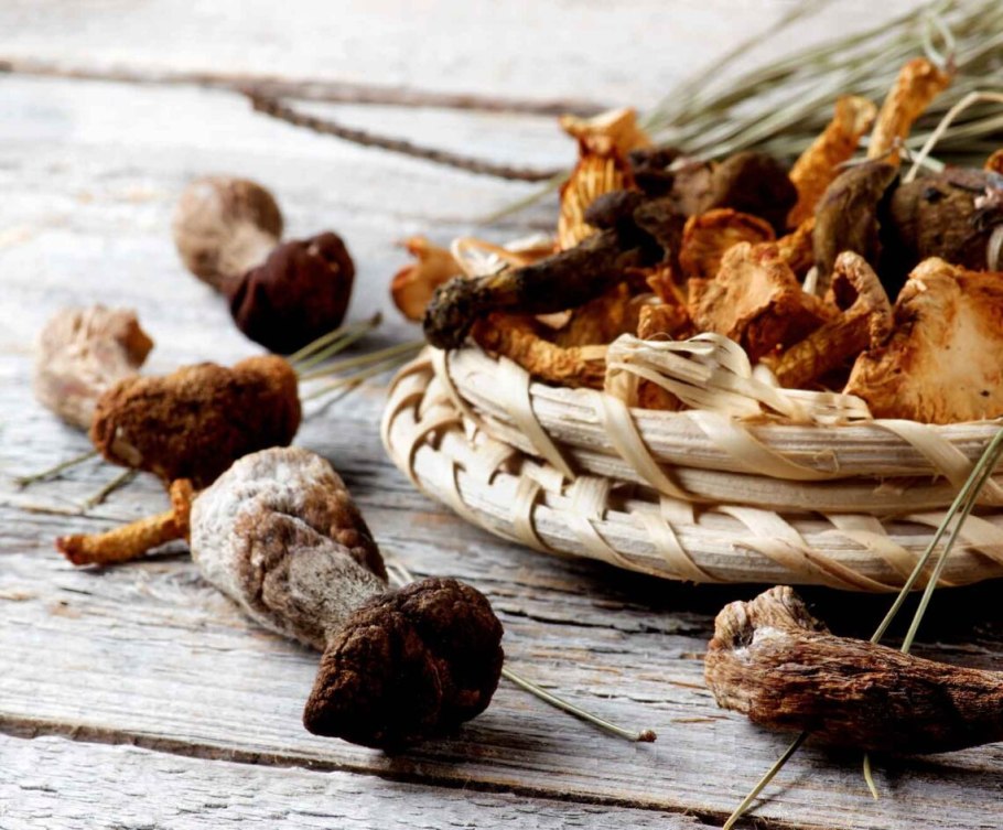 Грибы на веревке