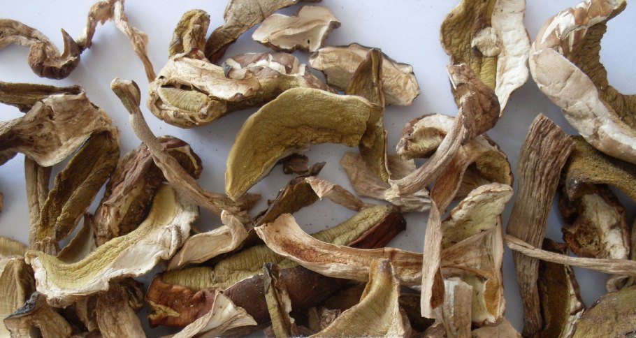 Высушенные грибы
