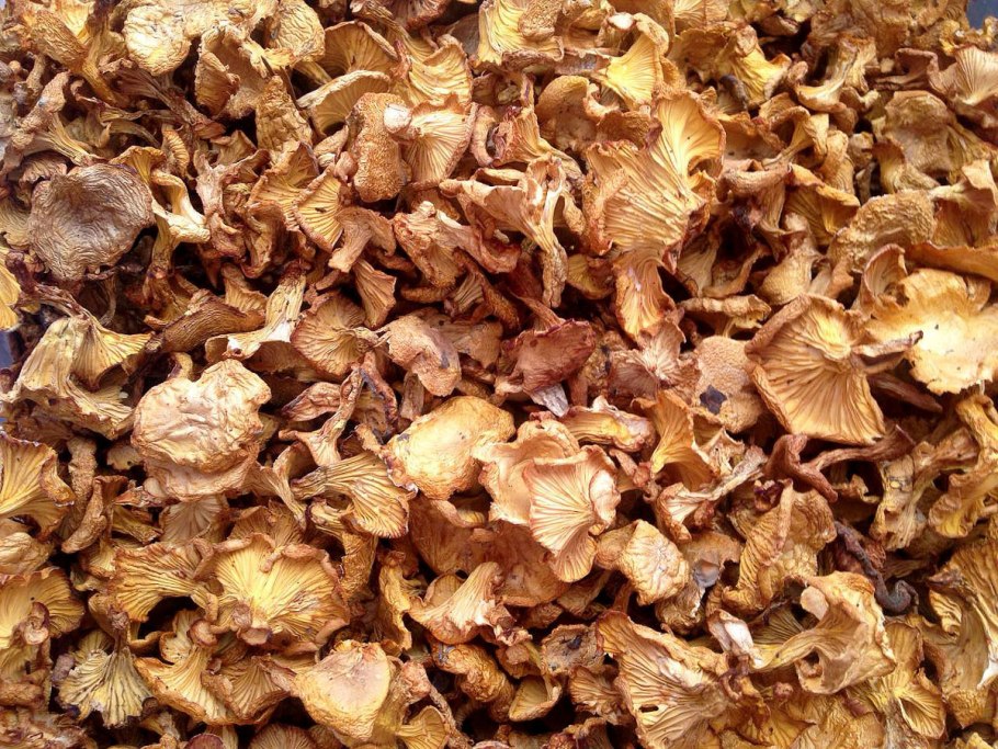 Сушеные грибы лисички