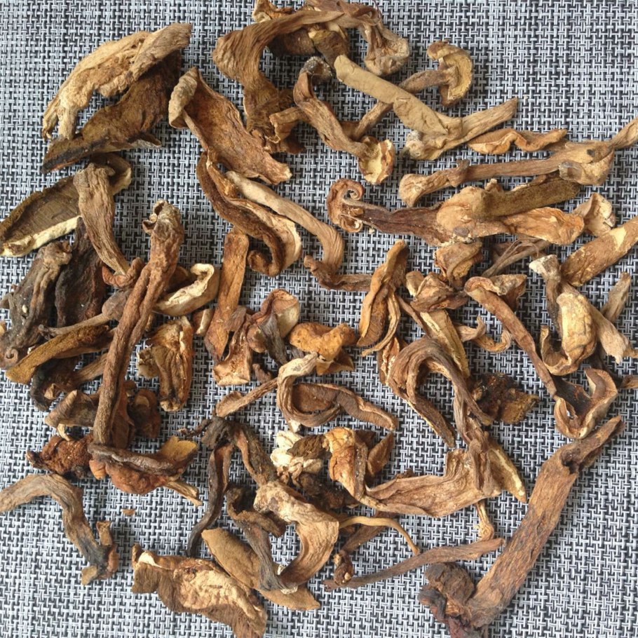 Сушеный Боровик