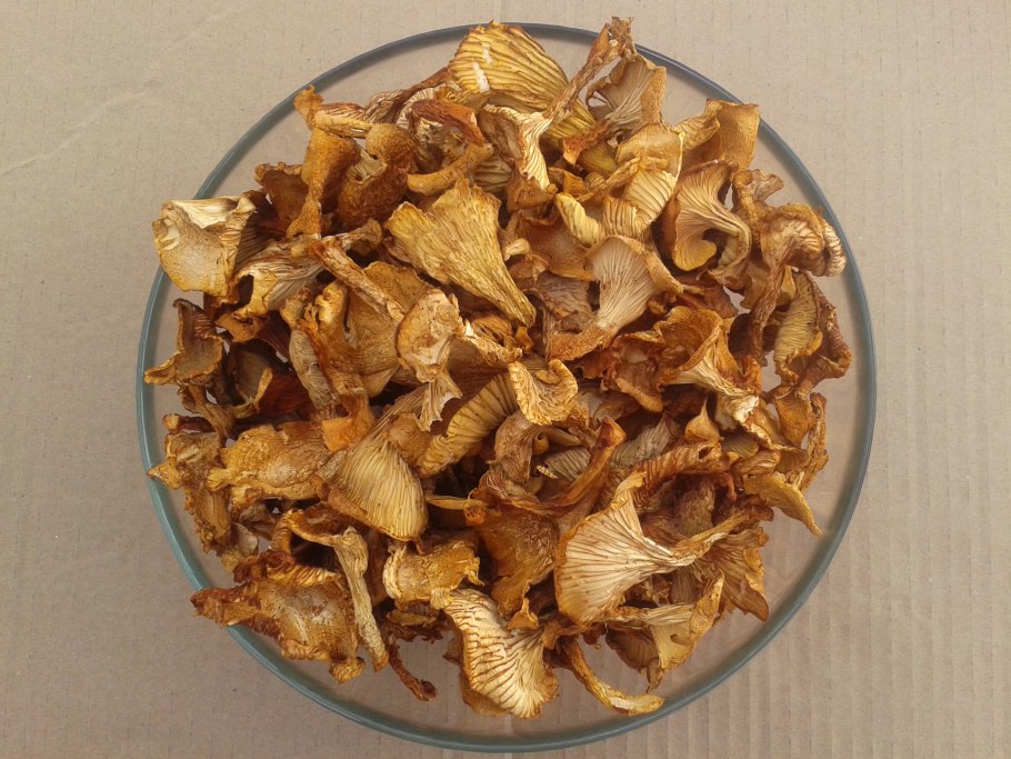 Лисички сушеные 100 г