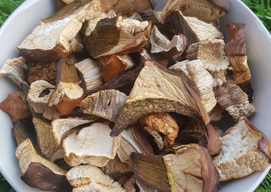 Сушеный Боровик