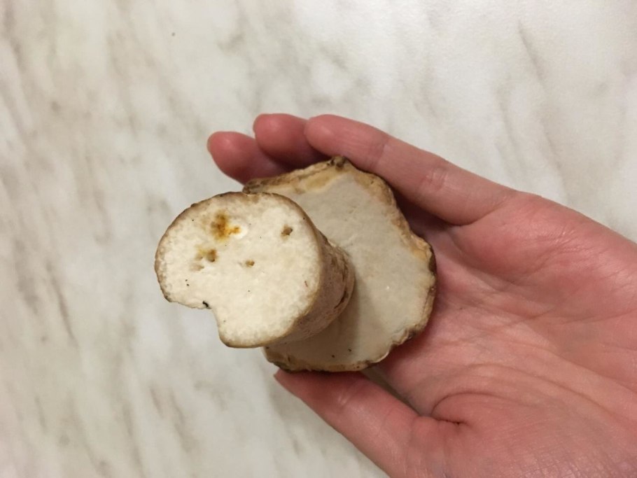 Гриб розовеет на срезе